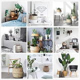 Natural Seagrass Belly Basket with Handles Seagrass Planter for Fig Indoor Plants