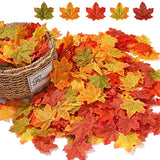 Momkids 500 Pcs Fall Artificial Maple Leaves Fake Autumn Leaf for Home Bedroom Kitchen Restaurant Centerpieces Festival Party DIY Decorative(5 Colored Mixed)