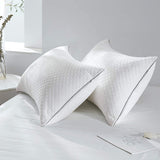 LB LAURA BENASSE LIVE THE DESIGN  2 Pack Pillows Queen Size for Bed Sleeping - Hotel Pillow for Side Back and Stomach Sleeper Hypoallergenic Velvet Fabric, Fluffy Down Alternative Pillow with Super Soft Microfiber Filling for Neck Pain Allergy Sufferers,