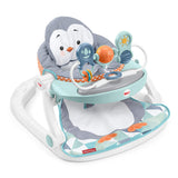Fisher-Price Sit-to-Stand, 3-in-1 Entertainer Converts From Newborn Mat and Infant Activity Center to Toddler Play Table, Multi