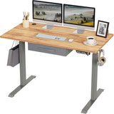 BANTI Adjustable Height Standing Desk with Drawers, 55x24 Inches Electric Stand Up Desk, Sit Stand Home Office Desk with Gray Frame/Light Rustic Brown Top