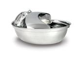 WellToBe Pet Raindrop Stainless Steel Pet Drinking Fountain