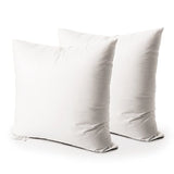 Edow Throw Pillow Insert, Set of 2 Down Alternative Polyester Square Form Decorative Pillow, Cushion,Sham Stuffer. (White, 20x20)