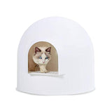 Bundle & Bliss Igloo Cat Litter Box Enclosure with lid, High Dome Covered Litter Box House with Modern Minimalist Design, Winner of The German Red Dot Design Award 2016