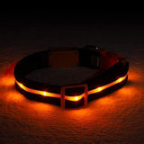 Blazin' Safety LED Dog Collar – USB Rechargeable with Water Resistant Flashing Light