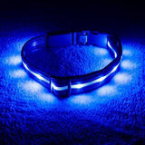 Blazin' Safety LED Dog Collar – USB Rechargeable with Water Resistant Flashing Light