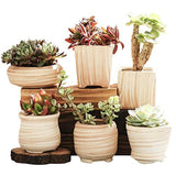 winemana 6 Pcs Set 3 Inch Ceramic Succulent Plant Pot, Wooden Pattern Succulent Planter Container Bonsai Cactus Pots