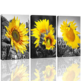 DVQ ART Pictures for Bathroom Sunflower kitchen Decor Flower Pictures on Canvas DVQ ART Contemporary Art for Living Room Stretched Painting Ready to Hang for Home Decorations 12X16inchx3Pcs