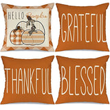 AENEY Fall Pillow Covers 18x18 inch Set of 4 for Fall Decor Hello Pumpkin Grateful Blessed Outdoor Thanksgiving Pillows Decorative Throw Pillows Farmhouse Autumn Cushion Case for Couch Sofa A387-18