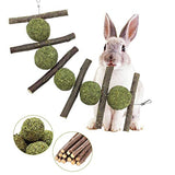 WoLover Rabbit Toys, Bunny Chew Toys for Teeth Grinding, 100% Natural Organic Wood Apple Sticks and Timothy Hay Balls Improve Pets Dental Health for Rabbit