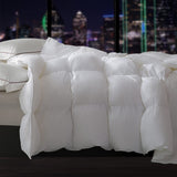 ELEMUSE Lightweight White Down Comforter Queen - Cooling All Season Duvet Insert with Corner Tabs - 100% Egyptian Cotton Down Proof Cover - Medium Warmth & Washable