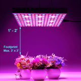 GardGuard LED Grow Light Indoor Plant Lights Full Spectrum 75W Panel Grow Lamp with Timer for Seeds, Vegetables and Flowers (2 Pack)