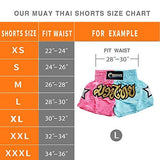 NAMAZU Muay Thai Shorts for Men and Women, High Grade MMA Gym Boxing Kickboxing Shorts.